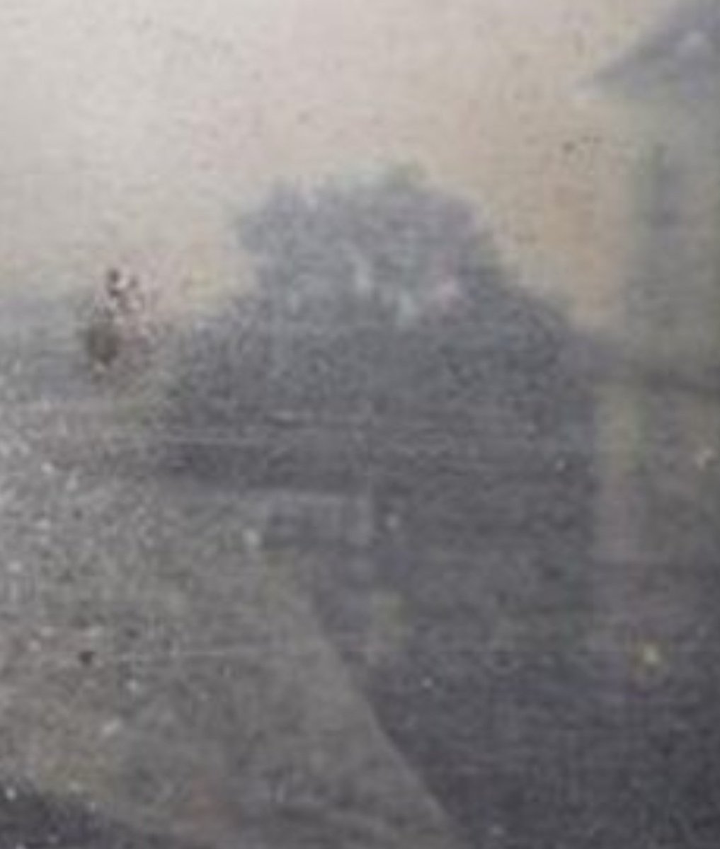 🇺🇸🇺🇸 Brad 🇺🇲🇺🇲🐕🏖 tweet media