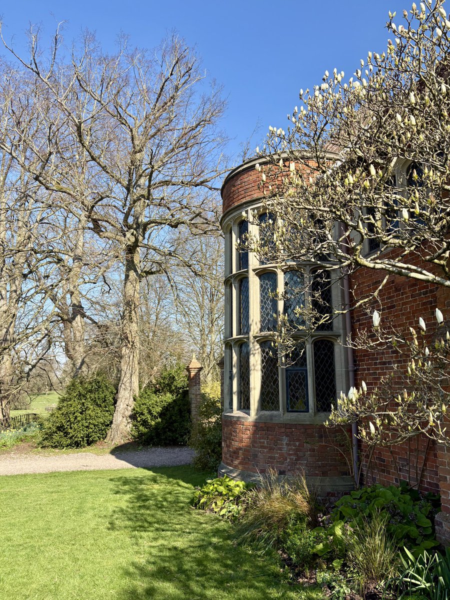 Adam Spurrier tweet media