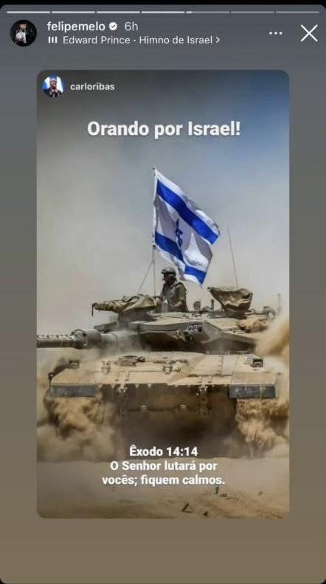 334 FENER tweet media