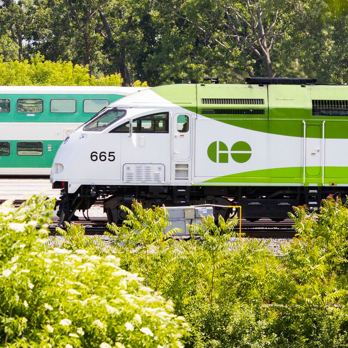 6ixBuzzTV tweet media