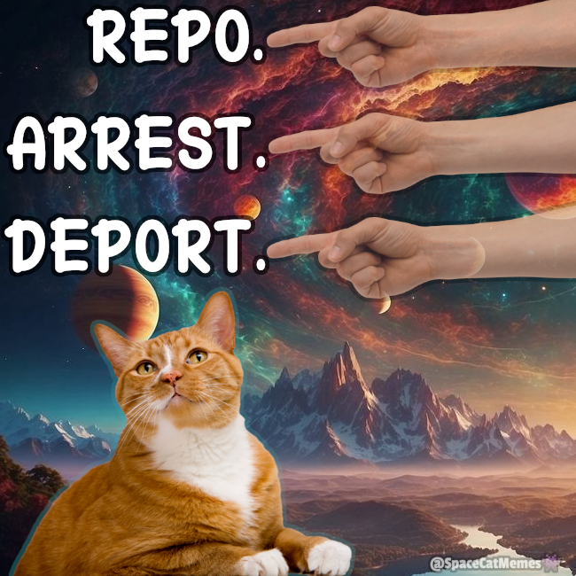 SpaceCatMemes👾 tweet media