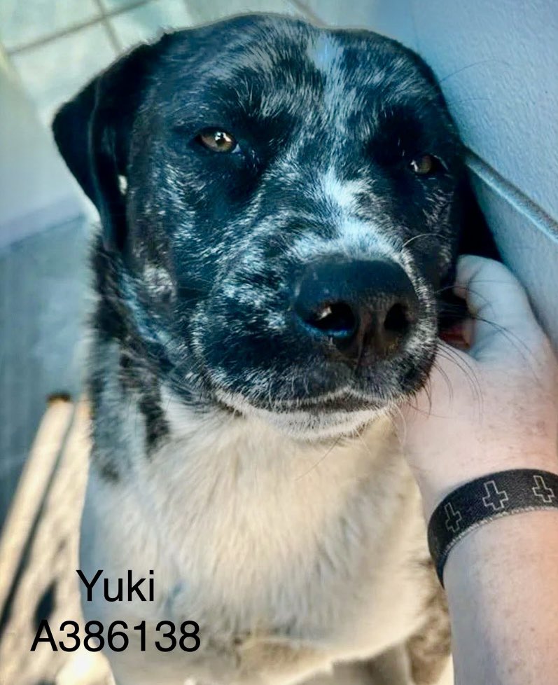 Cheryl Ramirez tweet media