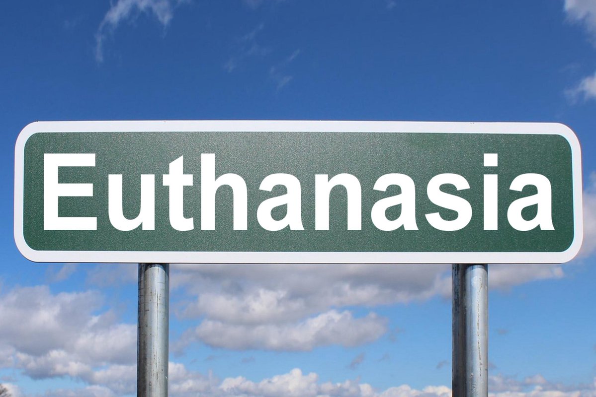 Joshua Stone 🇺🇸 tweet media