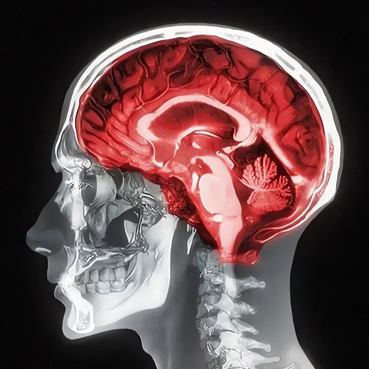 Cosmic Feeds 🌌 tweet media