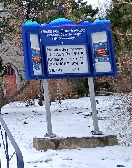 Irizaurus tweet media