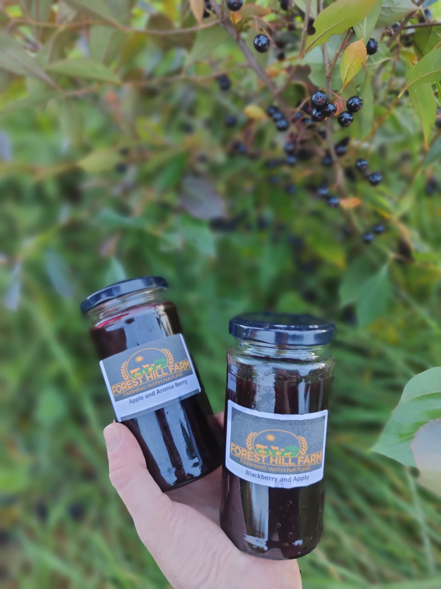 Created in Cavan tweet media