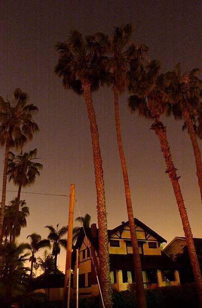 2001 Live tweet media