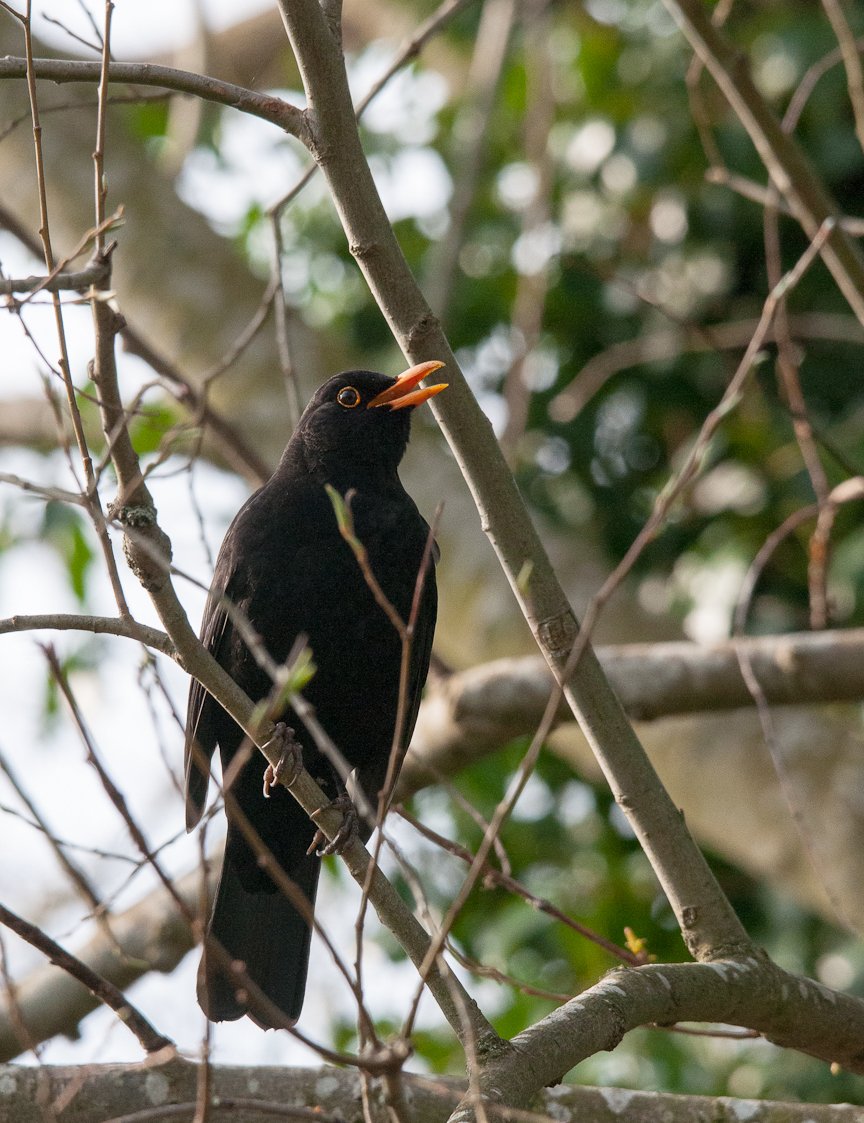 itsnotaboutwork tweet media