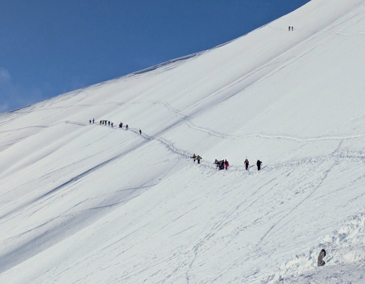 Things I see tweet media