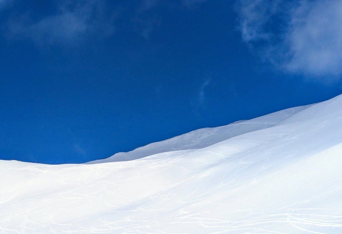 Things I see tweet media