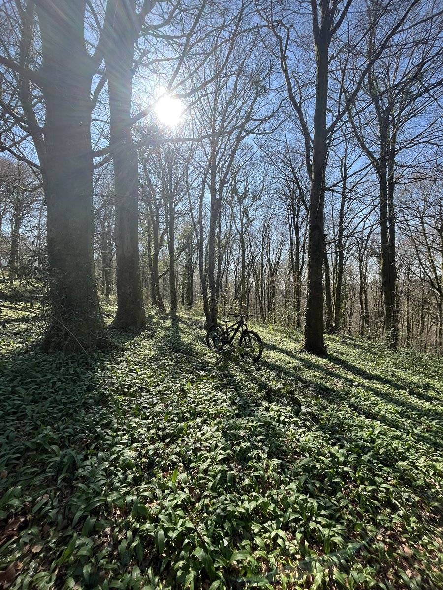 Julian Jones tweet media