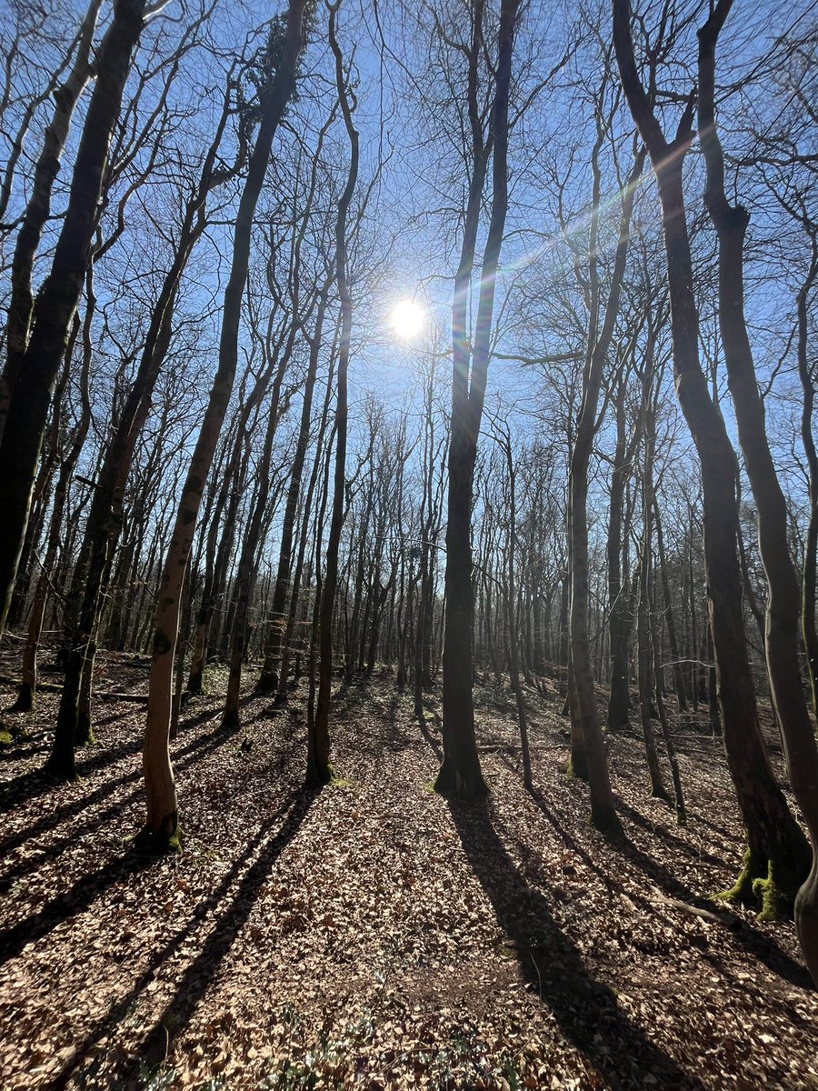 Julian Jones tweet media