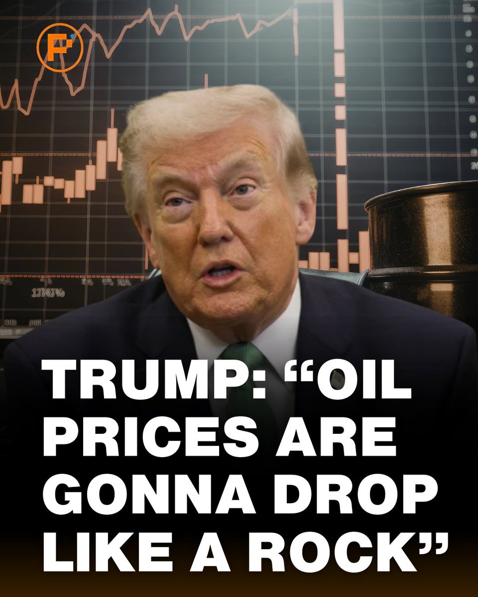 Polyburg Terminal tweet media