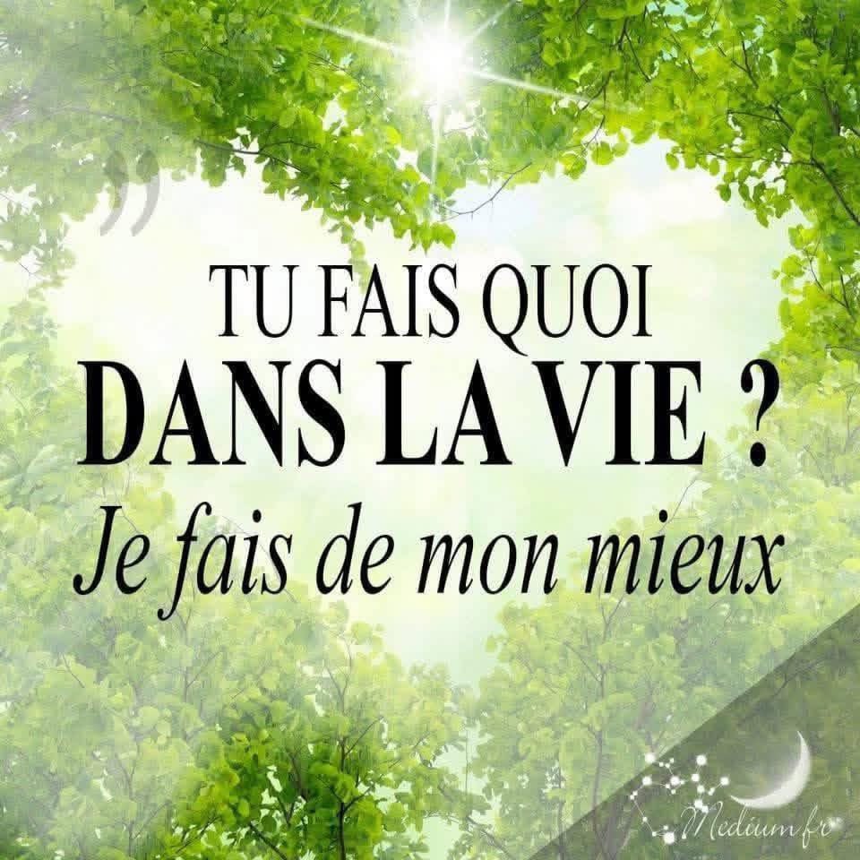 Stevie Manasse tweet media