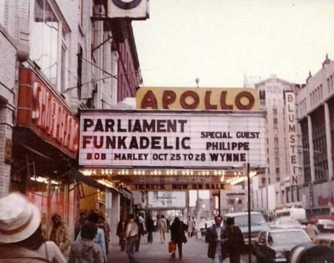 La Vanda Gastrica tweet media