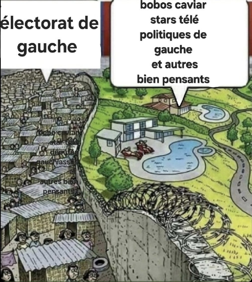 Dom Domi tweet media