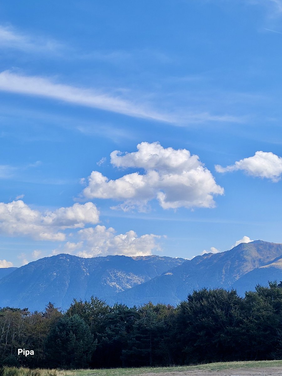 Pipapipia tweet media