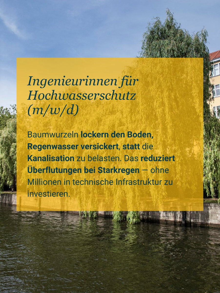 Baumentscheid tweet media