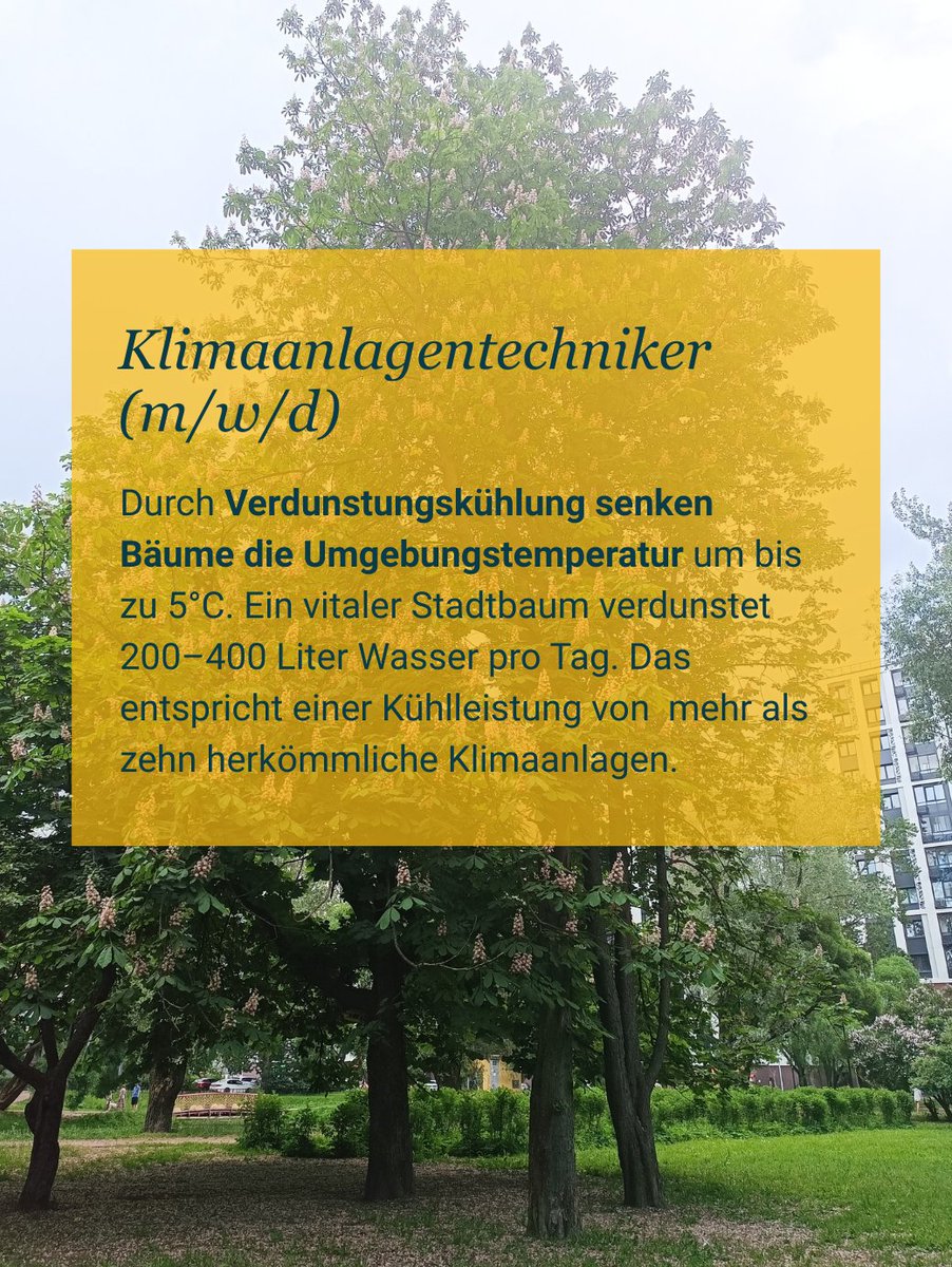 Baumentscheid tweet media