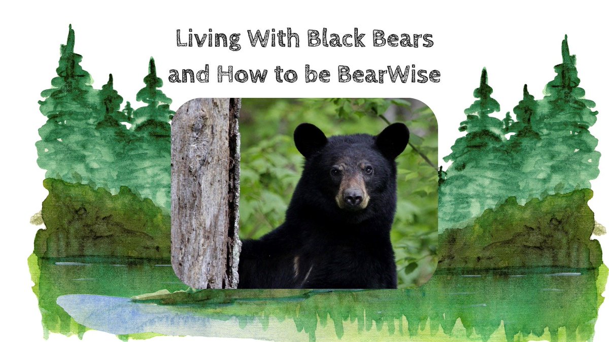 NextThreeDays.com tweet media