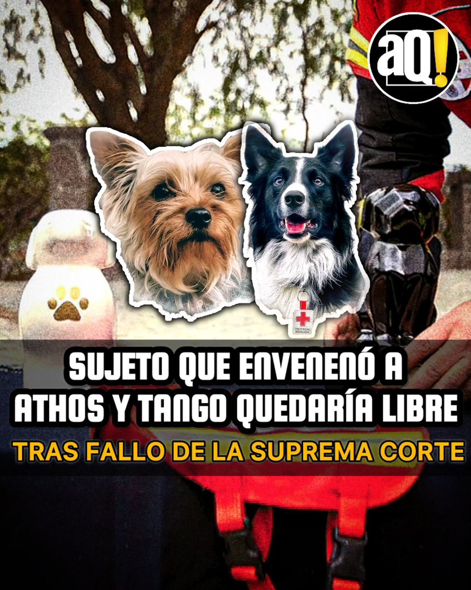 AlertaQro Noticias tweet media