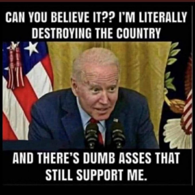 MAGA Puppy tweet media