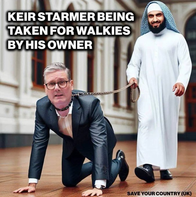 Not here for you tweet media