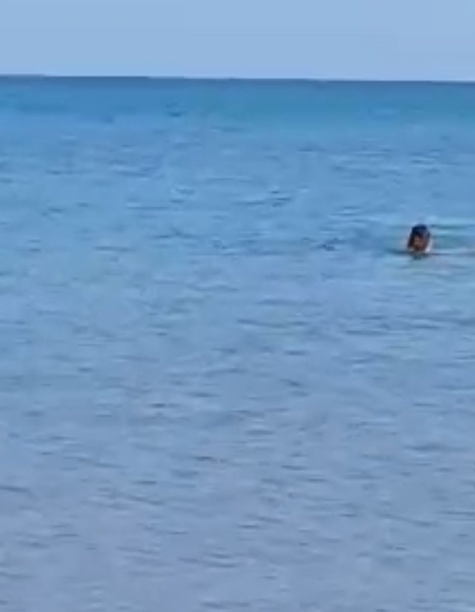 Simurg 📸🕊️🦂💙 tweet media