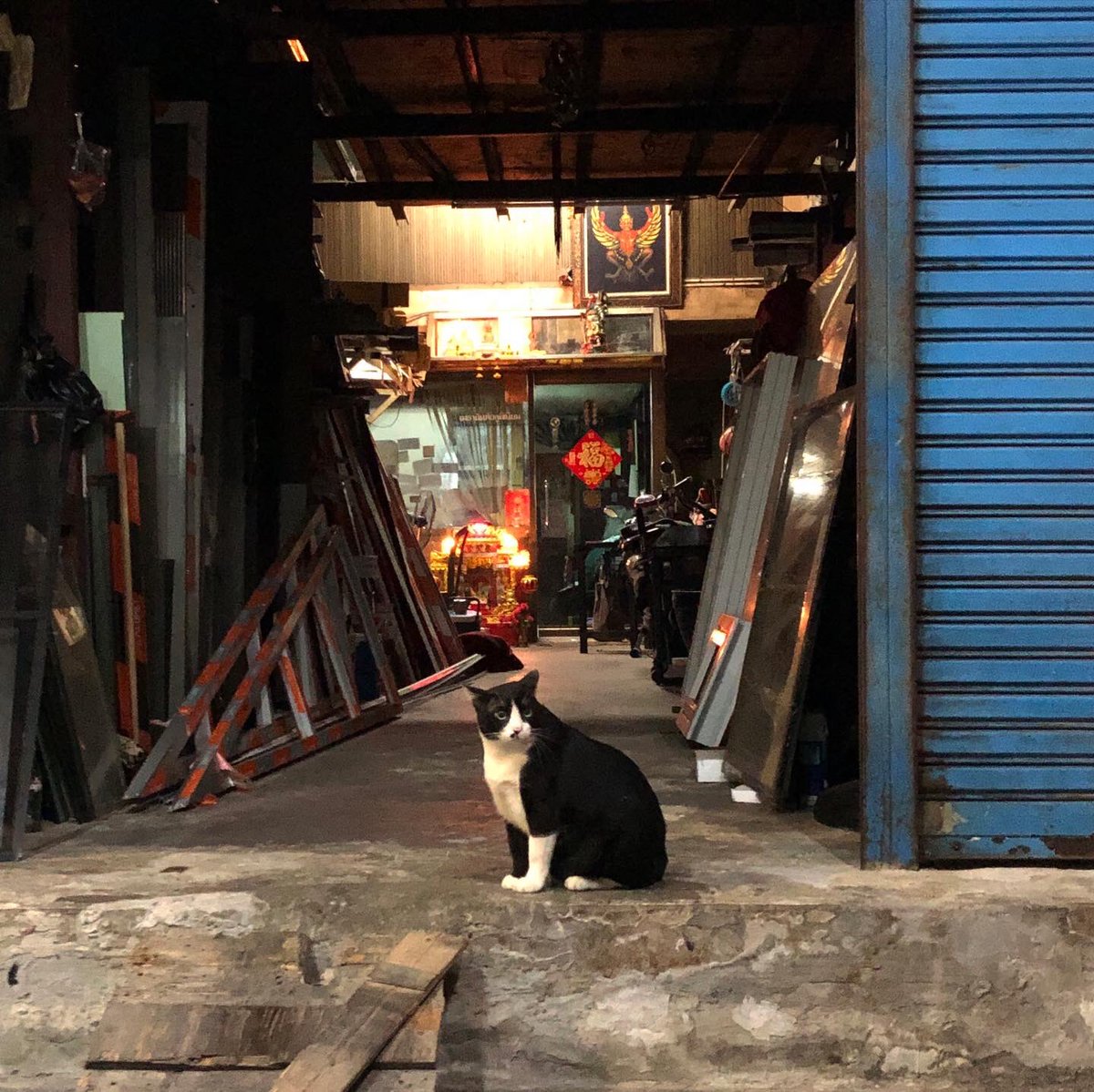 พี่แบเบลอ tweet media