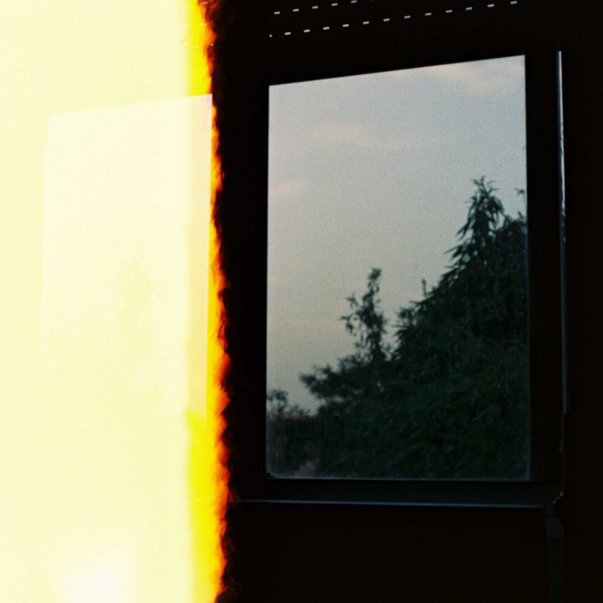 El Cuarto Vacío tweet media