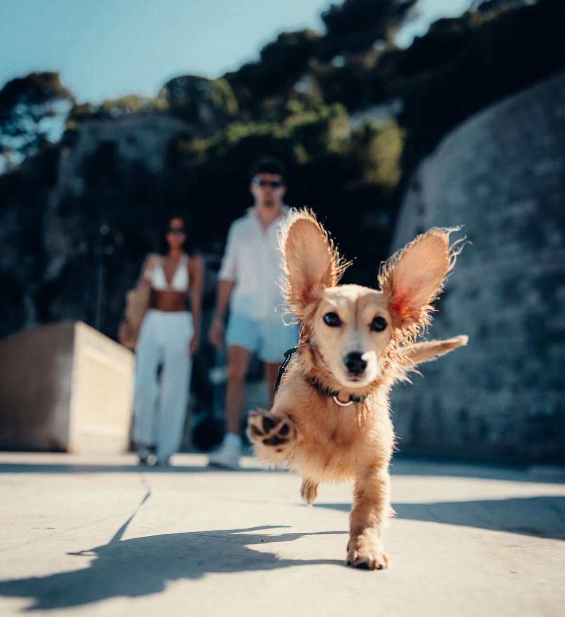 marianne tweet media