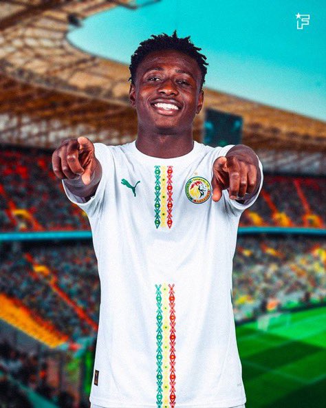 el faye 🇸🇳 tweet media