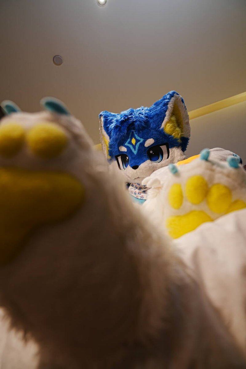 刀刀刀刀刀刀刀刀刀刀刀刀刀 tweet media