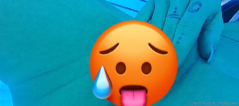 Candi Plush tweet media