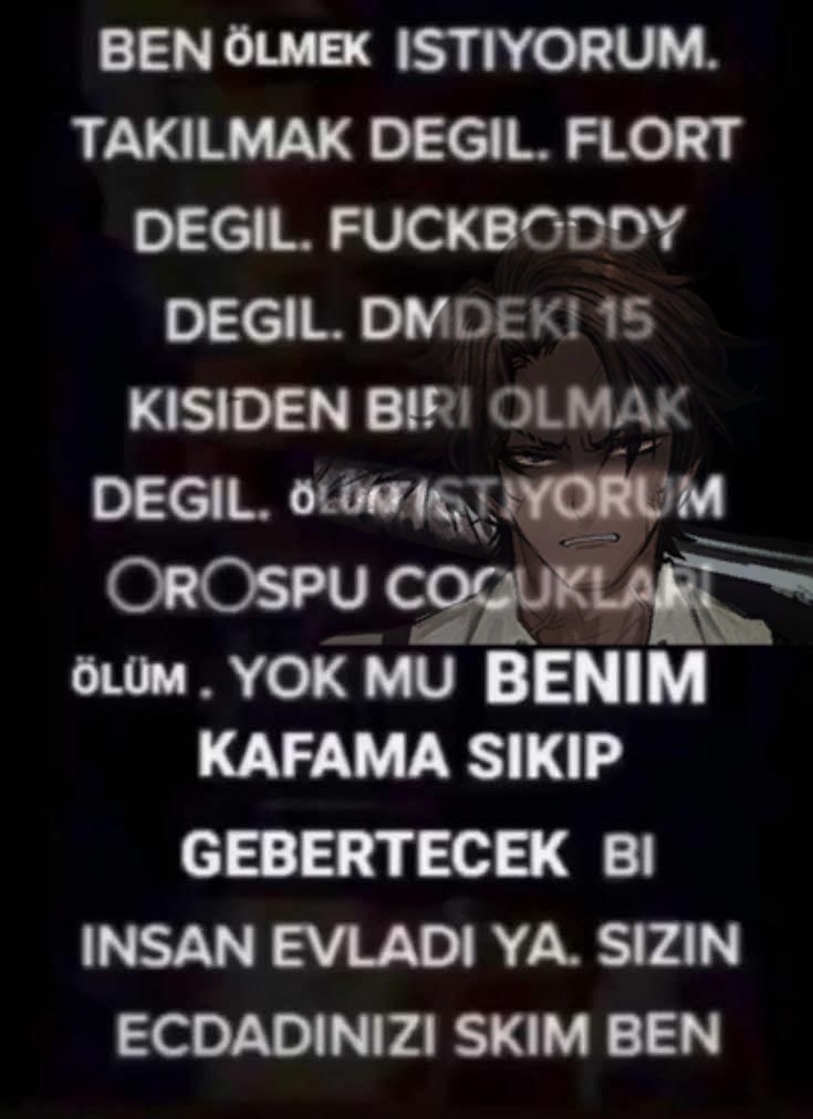 limbus turko tweet media