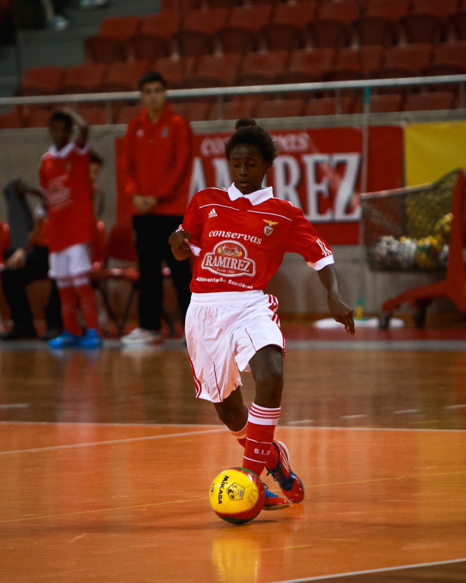 SLBenfica Modalidades tweet media