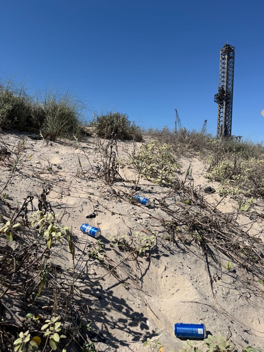 Amy Doehring tweet media