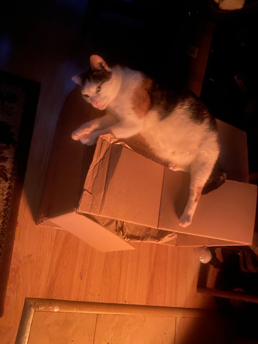 weruuu♡ tweet media