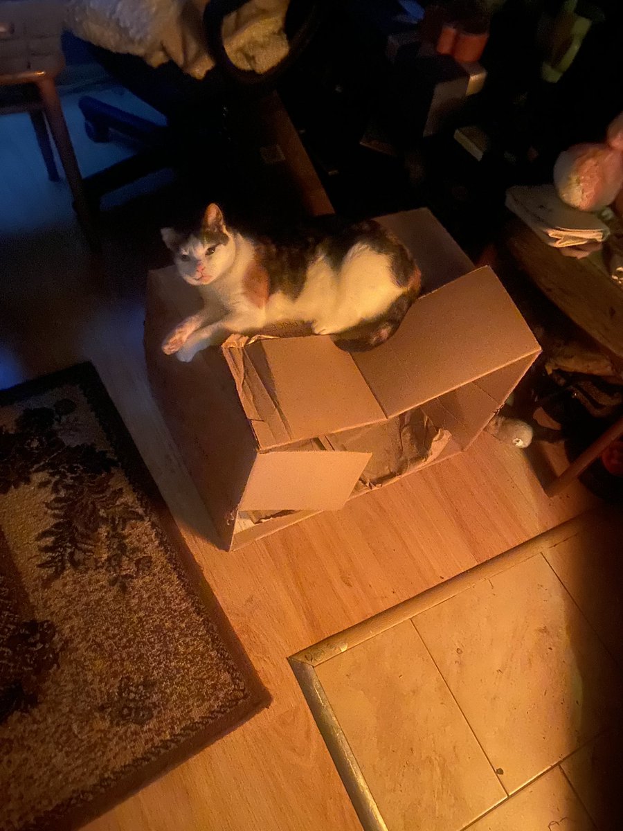 weruuu♡ tweet media