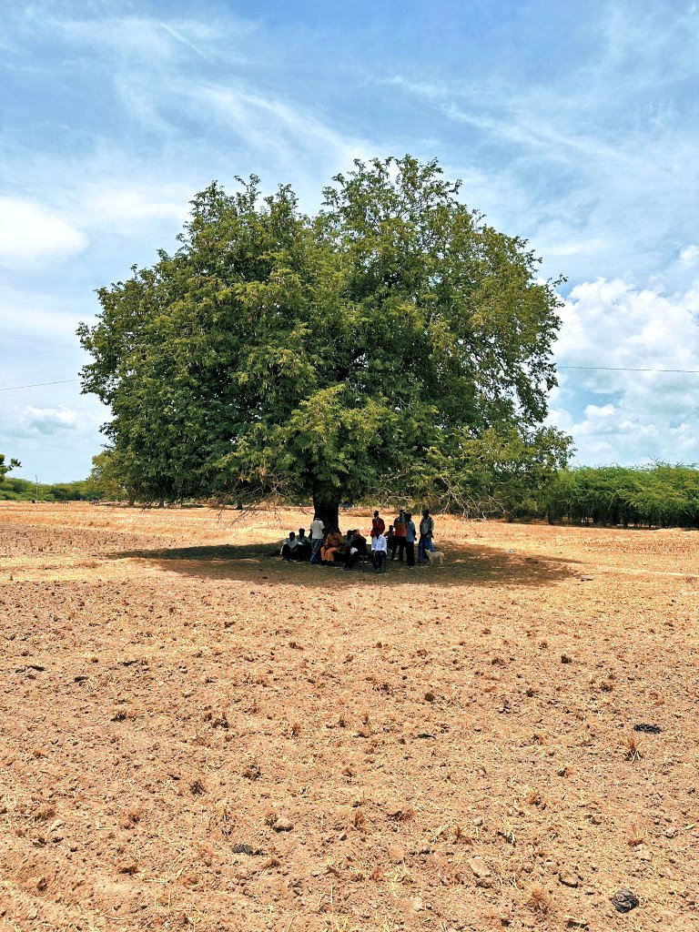 Tribal Army tweet media