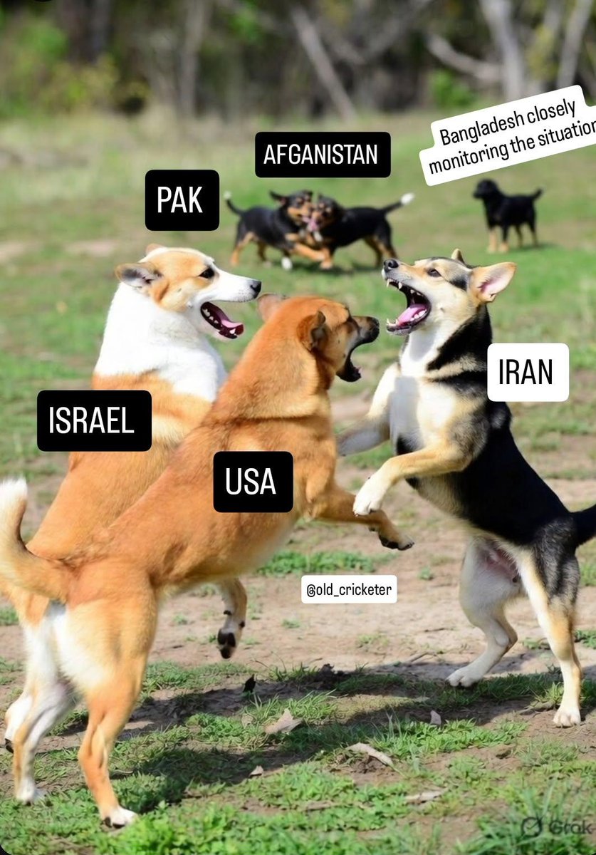 Exx Cricketer tweet media