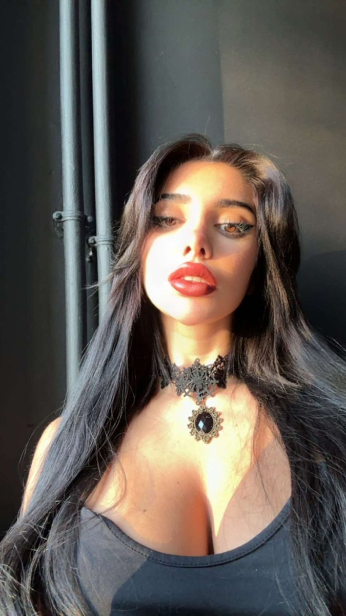 ✨ Chien de Julia Bayonetta ✨ tweet media