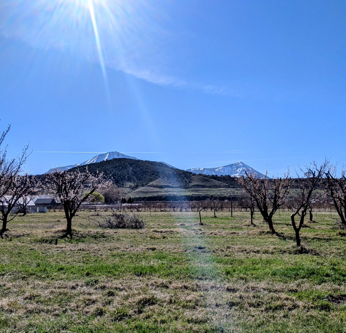 Ben Justman🍷 tweet media