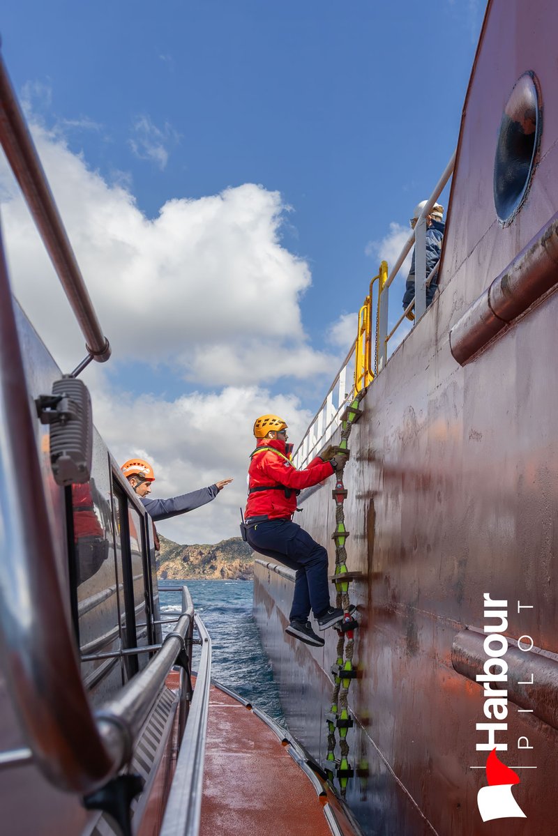 Harbour Pilot tweet media