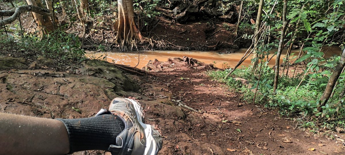 Okong' Okuna tweet media