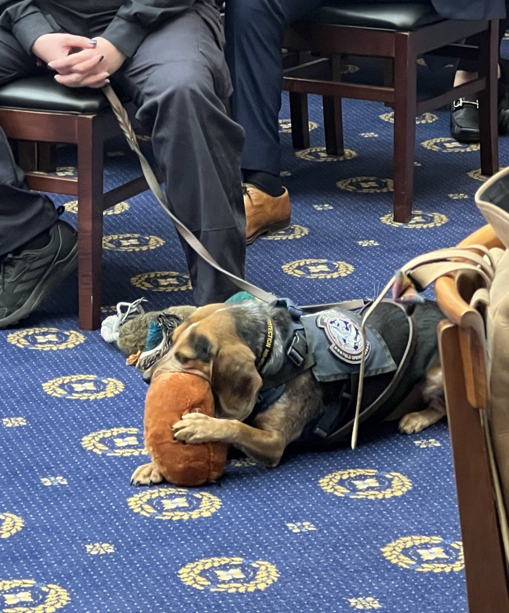 Congressman Brad Knott tweet media