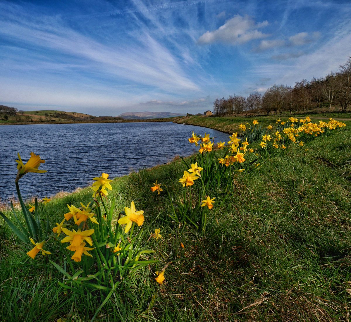 Mick ☯️☮🕉📚📷🌈🕊️☕🌍 tweet media