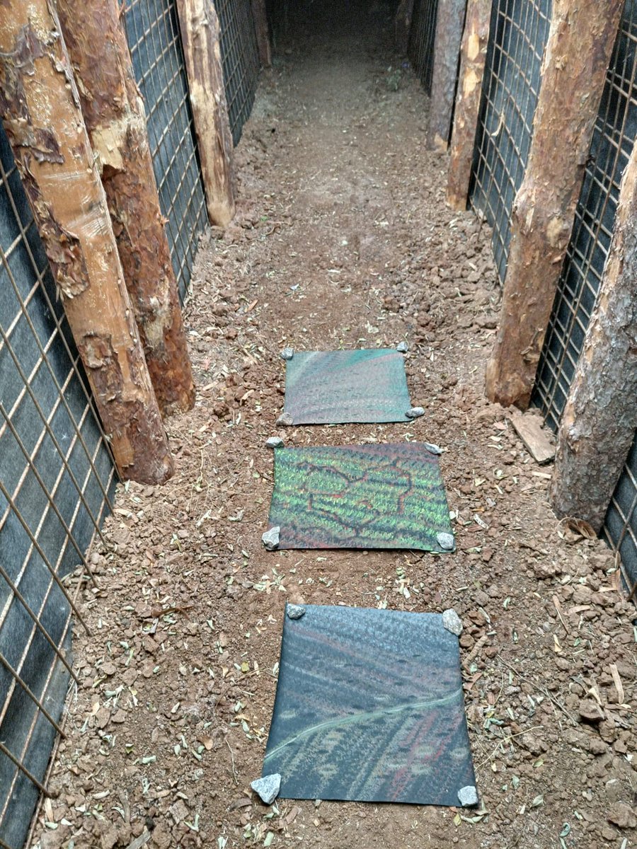 David Stokes HalpernCEO tweet media