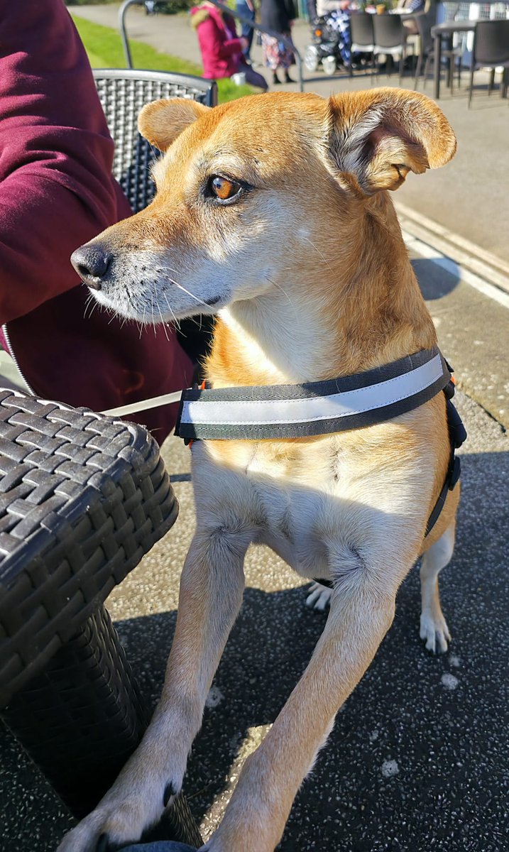 Shaun Cole tweet media