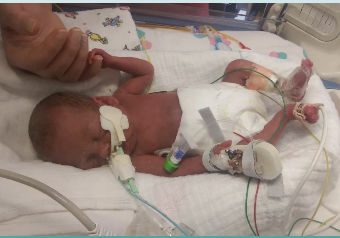 Family Education Trust tweet media